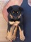 Click to view classifieds VSHECHRA