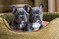Click to view classifieds KQFMYLCM