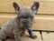 Click to view classifieds LCVZXBDP