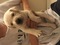 Click to view classifieds CEPHRCGQ