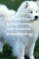 Click to view classifieds WZLBNJXV