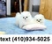 Click to view classifieds WQWOJQZD