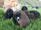 Click to view classifieds ZAJFHVUZ