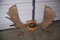 Click to view classifieds YPBUBCER