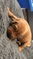 Click to view classifieds AOQSTPSQ