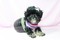 Click to view classifieds ADEYBHLD