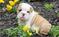 Click to view classifieds YFXLVUMS