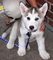 Click to view classifieds ODBYOYDX