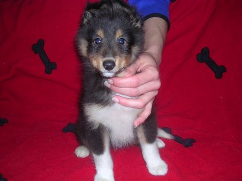 Marty Photo 1