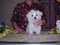 Click to view classifieds TFSGNLJU