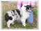 Click to view classifieds VTZARDTR
