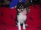 Click to view classifieds FDJDEVXH