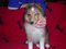 Click to view classifieds GBQMXKAT