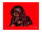Click to view classifieds MJVBNHNY