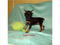 Click to view classifieds QULQWUTH