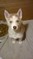 Click to view classifieds XECATHTB