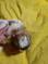 Click to view classifieds JXPFUJKW