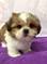 Click to view classifieds NDGGBYQN