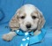 Click to view classifieds PCYZJUDT