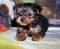 Click to view classifieds ZQKQXFBS