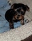 Click to view classifieds PRDVBMKK