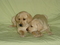 Click to view classifieds LJUCFGGW