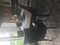 Click to view classifieds RRVJXGRA