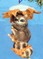 Click to view classifieds RAOPKBTR
