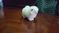 Click to view classifieds CAOYEWAT