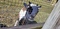 Click to view classifieds ZFGKDGRO