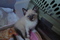 Click to view classifieds TRHURDOE
