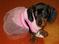 Click to view classifieds ZMBUGZWE