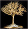 Click to view classifieds SQQBNABE