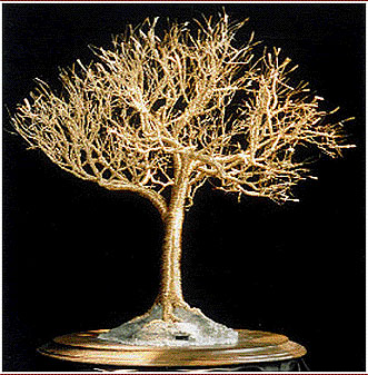 Golden Elm - Wire Tree Sculpture