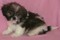 Click to view classifieds QLFUTENT