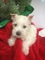 Click to view classifieds YQWBDFOU