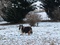 Click to view classifieds AEWPWFUB