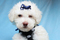 Click to view classifieds DDDKRWYN