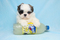 Click to view classifieds QZSONHUF