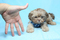Click to view classifieds CRTQWAOB