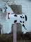 Click to view classifieds NFNGDKZN