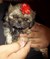 Click to view classifieds LYMTJKRG