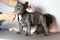 Click to view classifieds PVRCHFBN