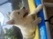 Click to view classifieds XTVCUGQO