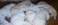 Click to view classifieds CRDZNLLO