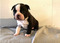 Click to view classifieds RYMNVFGR