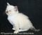 Click to view classifieds UWMVZFMC