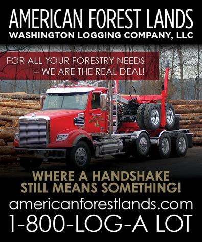 Logging Services, Timber Tree Harvesting, Clearing, Trucking in Washington, Puget Sound and Northwest