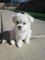 Click to view classifieds DMEJFYQS