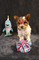 Click to view classifieds VQOOWPGH